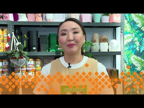 Видео: «Кыыс сайын»: лилия сибэкки туһунан (05.04.24)