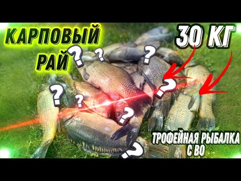 Видео: МЕГА МАССОВЫЙ ЗАКОРМ 10 КГ!!!ПОЙМАЛИ КАРПОВ ВЕСОМ В 30 КГ. БЫДЛО НА ВЕСТ!!! Конфликт на весте?ШОК.