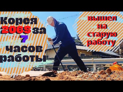 Видео: Южная Корея, 206$ за 1 объект, 7 часов работы