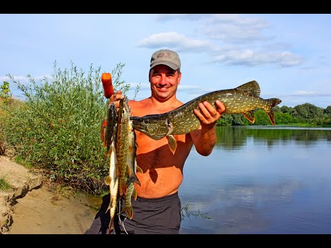 Видео: РЫБАЛКА С НОЧЁВКОЙ 2020! Сплав по Десне 2 Часть