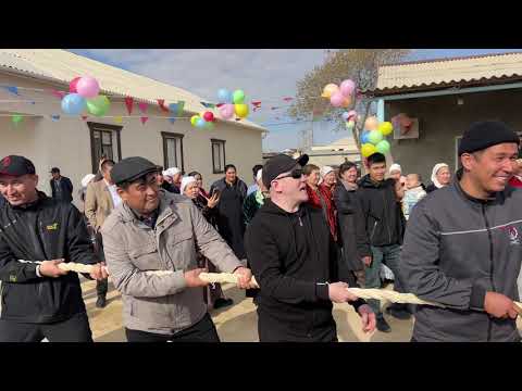 Видео: Әли әулиеті,Теңге ауылы,4 ұлдың сүндет тойы,аламан той,арқан тартыс,салт дәстүр, қазақи #сүндеттой 