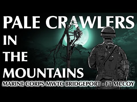 Видео: Морские пехотинцы и солдаты, преследуемые существами в лесу