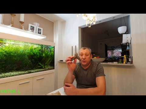 Видео: Аквариум подмена воды сифоним грунт