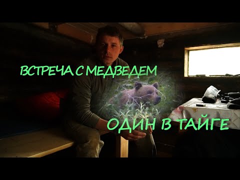 Видео: ВСТРЕЧА С МЕДВЕДЕМ. НАШЕЛ РОГ ЛОСЯ. ПОХОД. РЫБАЛКА НА ХАРИУСА.