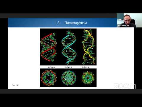 Видео: Бугай А.Н. "Нелинейные волны и структурные переходы в молекуле ДНК" 08/06/2022