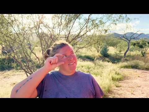 Видео: Эта ИДЕЯ немного БЕЗУМНАЯ?