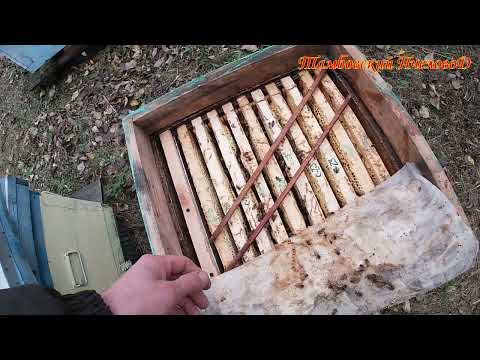 Видео: 5 ноября - Дороги, резервный точок - печальная картина...