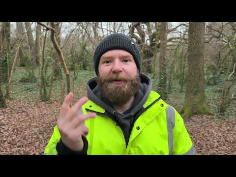 Видео: Как ясно слышать голос Бога