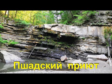 Видео: Пшадский приют. Патриот, уаз и тойоты по бездорожью. Едем  с п.Новый через погрузочную.