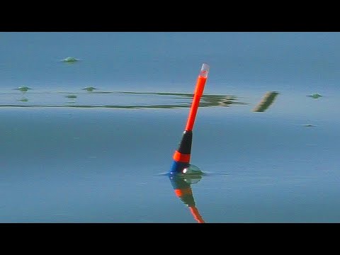 Видео: Рыбалка на карася . Ловля на поплавок в середине ноября . My fishing