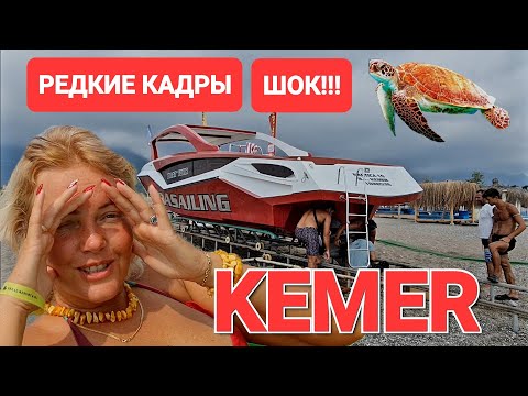 Видео: Турция 2022. Кемер. Обзор отеля Erkal Resort Hotel. Роды на пляже. "Блондинка и турок". Kemer.