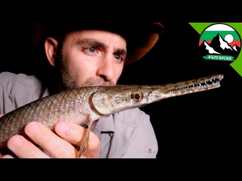 Видео: Странни същества от Тексас 🦎🐍 | Brave Wilderness Български