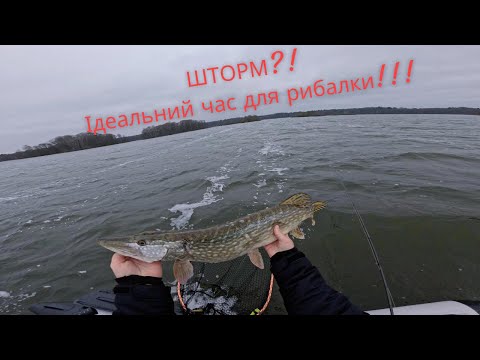 Видео: Шторм!!! Ідеальний час для рибалки!