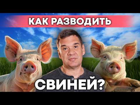 Видео: Фермеры рассказали ПРАВДУ о СВИНОВОДСТВЕ: болезни свиней, цены на свинину, риски | Ферма с нуля