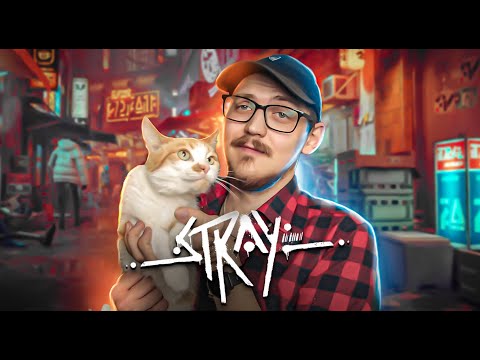Видео: 😻STRAY / МИМИМЕТОР ЗАШКАЛИВАЕТ / МНЕНИЕ