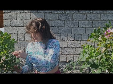 Видео: Какие розы я взяла в Вокруг роз в 2025ом