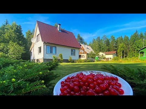 Видео: СНТ "РЕЧНОЕ"  Ленинградская область