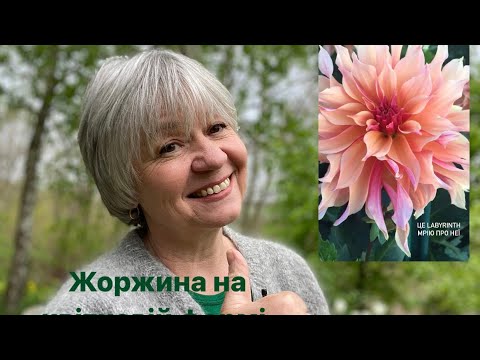 Видео: Жоржини на квітковій фермі.