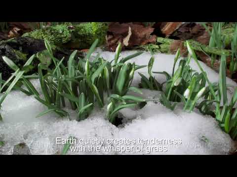 Видео: Моя голубая планета