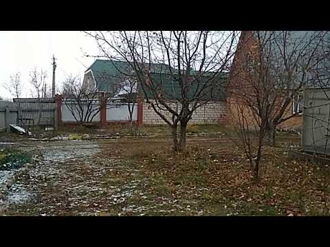 Видео: Хранение черенков роз зимой