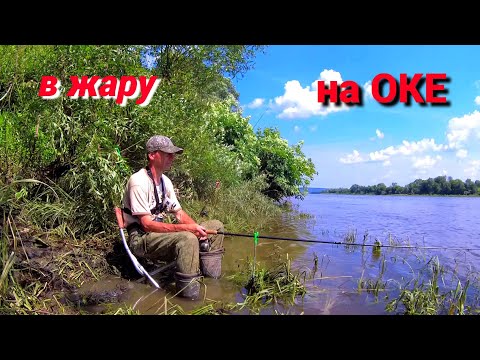 Видео: РЫБАЛКА на "СТУК".  КУКУРУЗА ВЫРУЧАЕТ. Ловлю на ОКЕ в жару.
