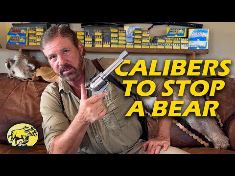 Видео: Пистолеты для самообороны от диких животных: что нужно, чтобы остановить гризли