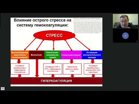 Видео: Функциональная система гемокоагуляции Афончиков В.С.