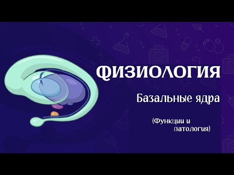 Видео: Как регулируются ДВИЖЕНИЯ | Физиология базальных ядер