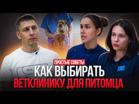 Видео: ВСЯ ПРАВДА О ВЕТКЛИНИКАХ