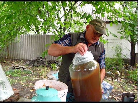 Видео: Вино из ВИНОГРАДА ЛИДИЯ  Отжимаем СУСЛО от МЕЗГИ  Добавляем ВОДУ и САХАР