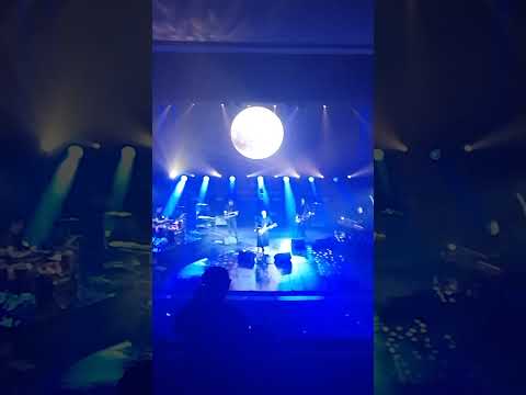 Видео: Агата Кристи - "Чёрная луна". Кострома, 8.11.2025. #АгатаКристи #Кострома #музыка #концерт 