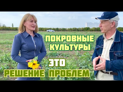 Видео: Покровные культуры - это путь решения проблем с почвой