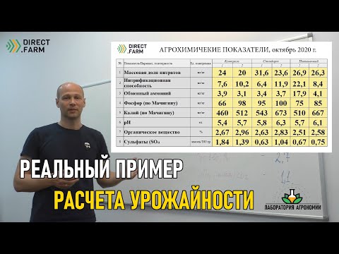 Видео: Расчет урожайности на примере реального эксперимента