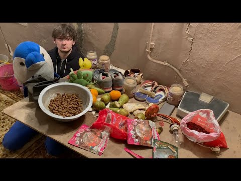 Видео: ВЕЧЕРНИЙ ЖОР | СОБАЧЬЕ СЧАСТЬЕ