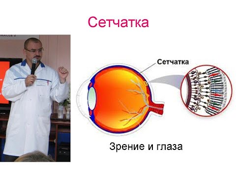 Видео: Сетчатка. Дистрофия сетчатки. Ретинопатия и макулодистрофия.