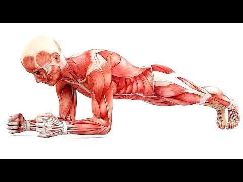 Видео: Вот что происходит с вашим организмом во время спорта