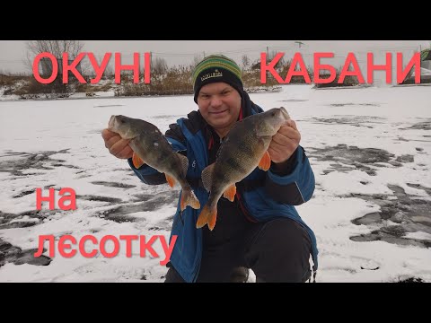 Видео: Окуні кабани не лізуть в лунку! Крупняк клює на лєсотку!