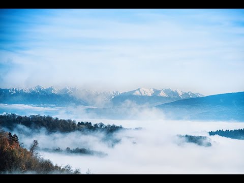 Видео: Ретушь фото для стока. стык фонов. видео носит рекомендационный характер