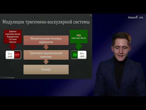 Видео: Пономарев Т.Д. - Цикл научных докладов - 1. Физиология мигрени