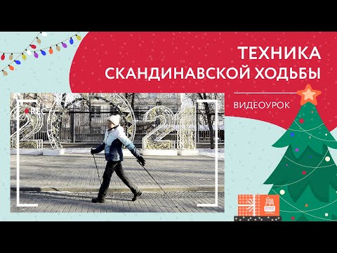 Видео: Техника скандинавской ходьбы | Новогодний видеоурок