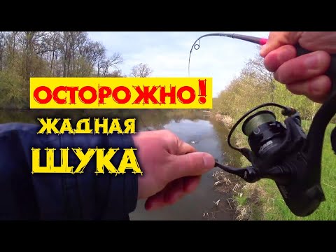 Видео: Щука активно клюет после нереста! Рыбалка спиннингом на малой реке с берега
