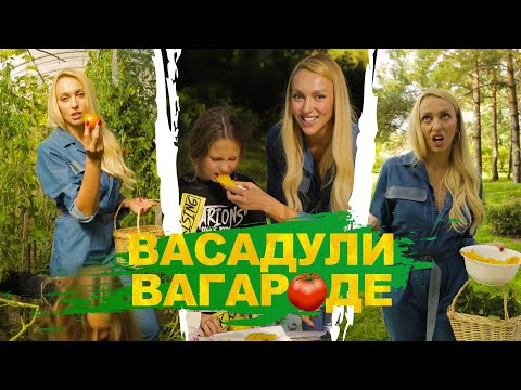 Видео: Васадули Вагароде. Выпуск 2: Томаты