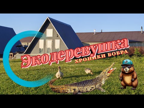 Видео: Экодеревушка с крокодилами под Коломной