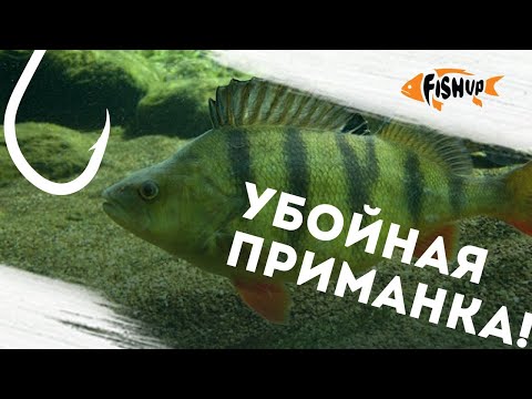 Видео: ТРОФЕЙНЫЙ ОКУНЬ ДУРЕЕТ ОТ ЭТОЙ РЕЗИНЫ | FISHUP TANTA В ЩЕПКИ