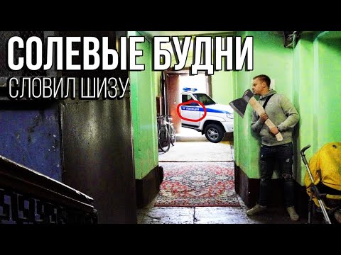 Видео: 18+ ШИЗА ПОД СОЛЯРКОЙ! Топоры Ножи Вилы | Соль Alpha PVP