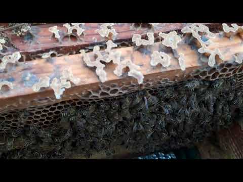 Видео: Чи важливо де і як сів клуб. 