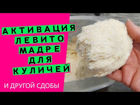 Видео: Активация левито мадре//Секреты идеального кулича {Увеличиваем подъемную силу. Часть 2}