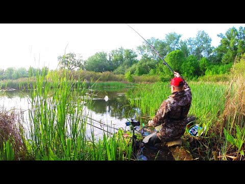 Видео: РИБАЛКА В РАЮ!! ВЕЛИЧЕЗНІ КАРАСІ, ЛИН. ЛОВЛЯ на ПОПЛАВОК!
