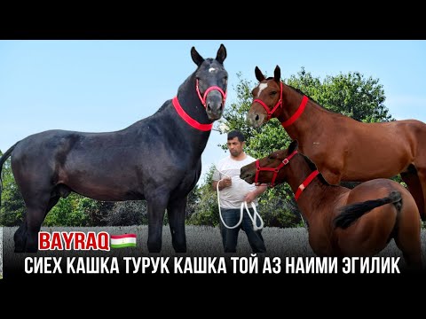 Видео: 20 сентября 2024 г.