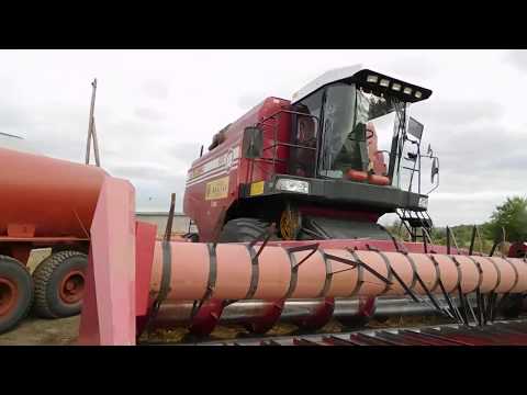 Видео: Комбайн Палессе GS10. Отзывы и советы комбайнёра #7(приспособление для уборки подсолнечника)